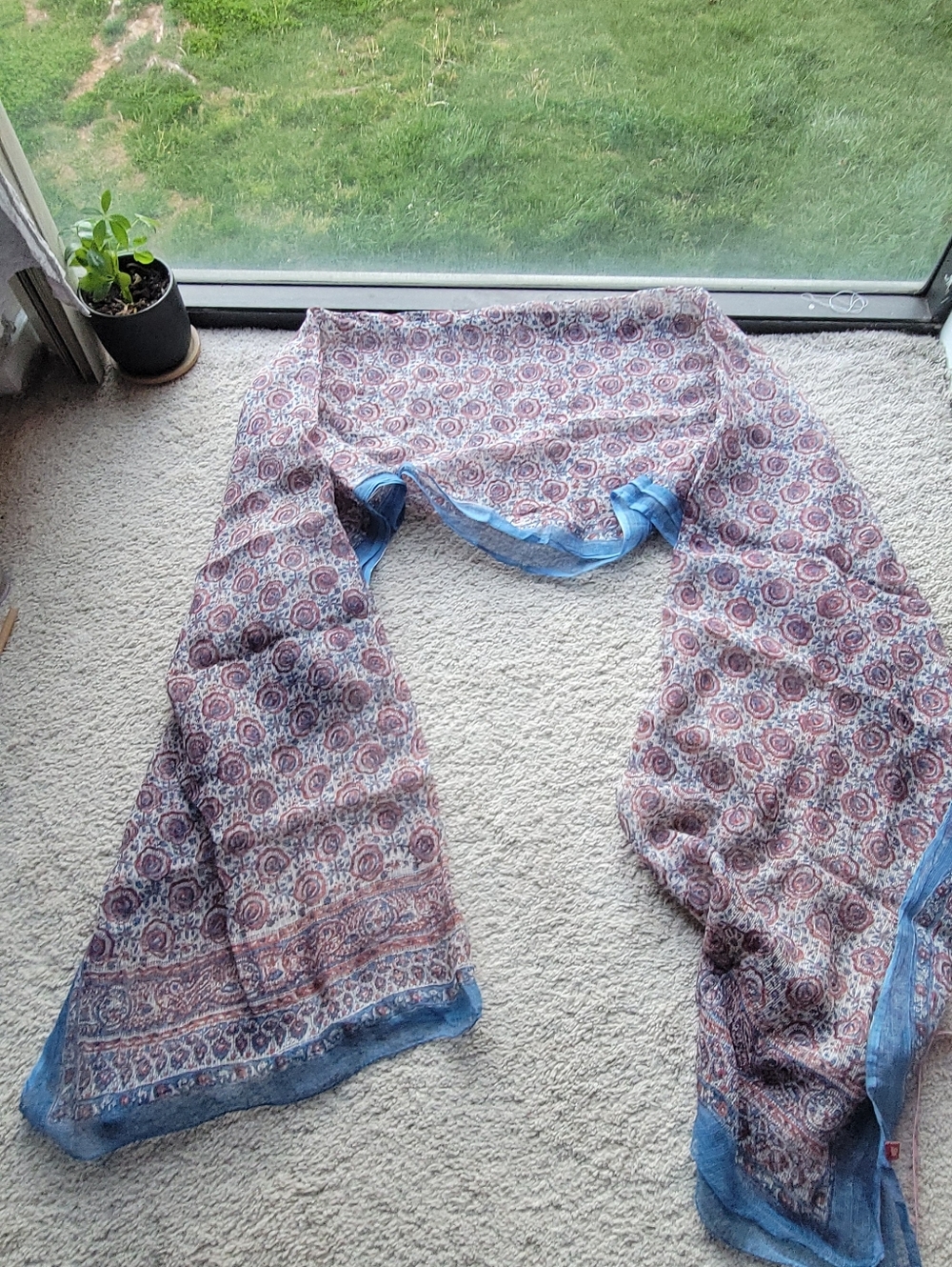 Lightweight Printed Scarf with Blue Border